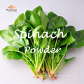 dried leaves juice organic spinach powder in bulk